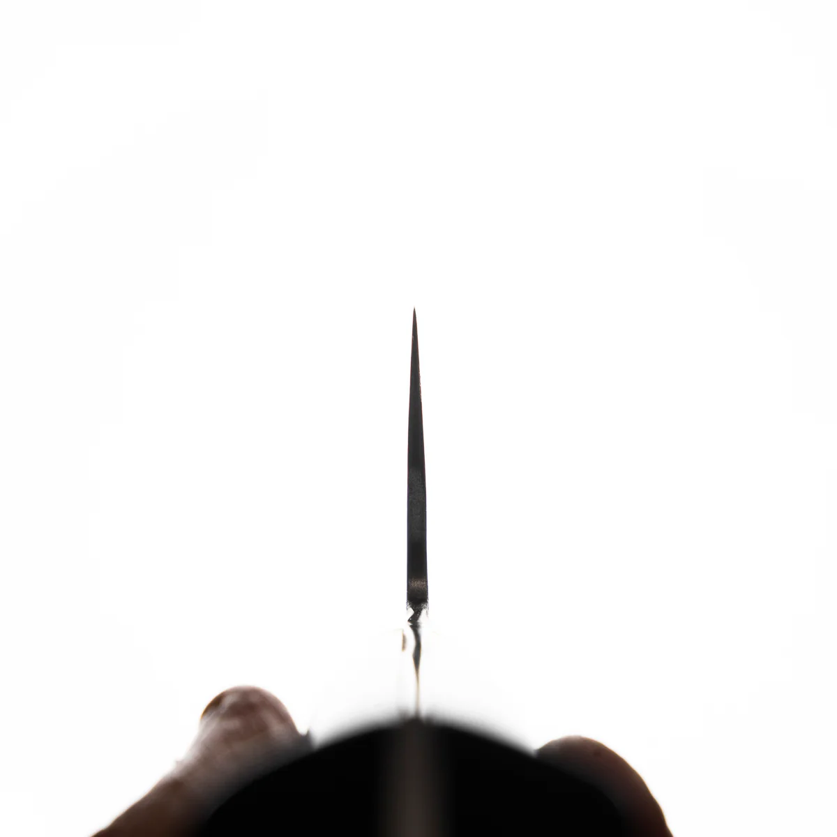 Teruyasu Fujiwara Maboroshi Gyuto 300mm - Image 9