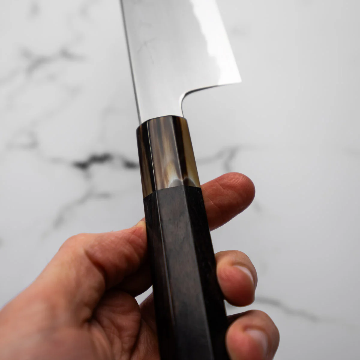 Tetsujin Hamono Blue 2 Kasumi Kiritsuke 210mm - Image 4