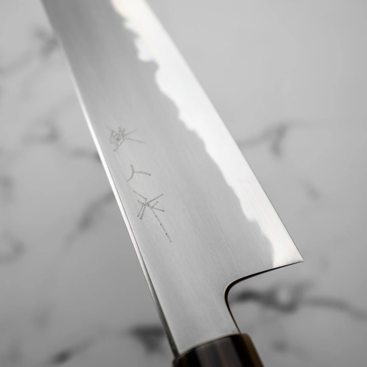 Tetsujin Hamono Blue 2 Kasumi Kiritsuke 210mm - Image 7