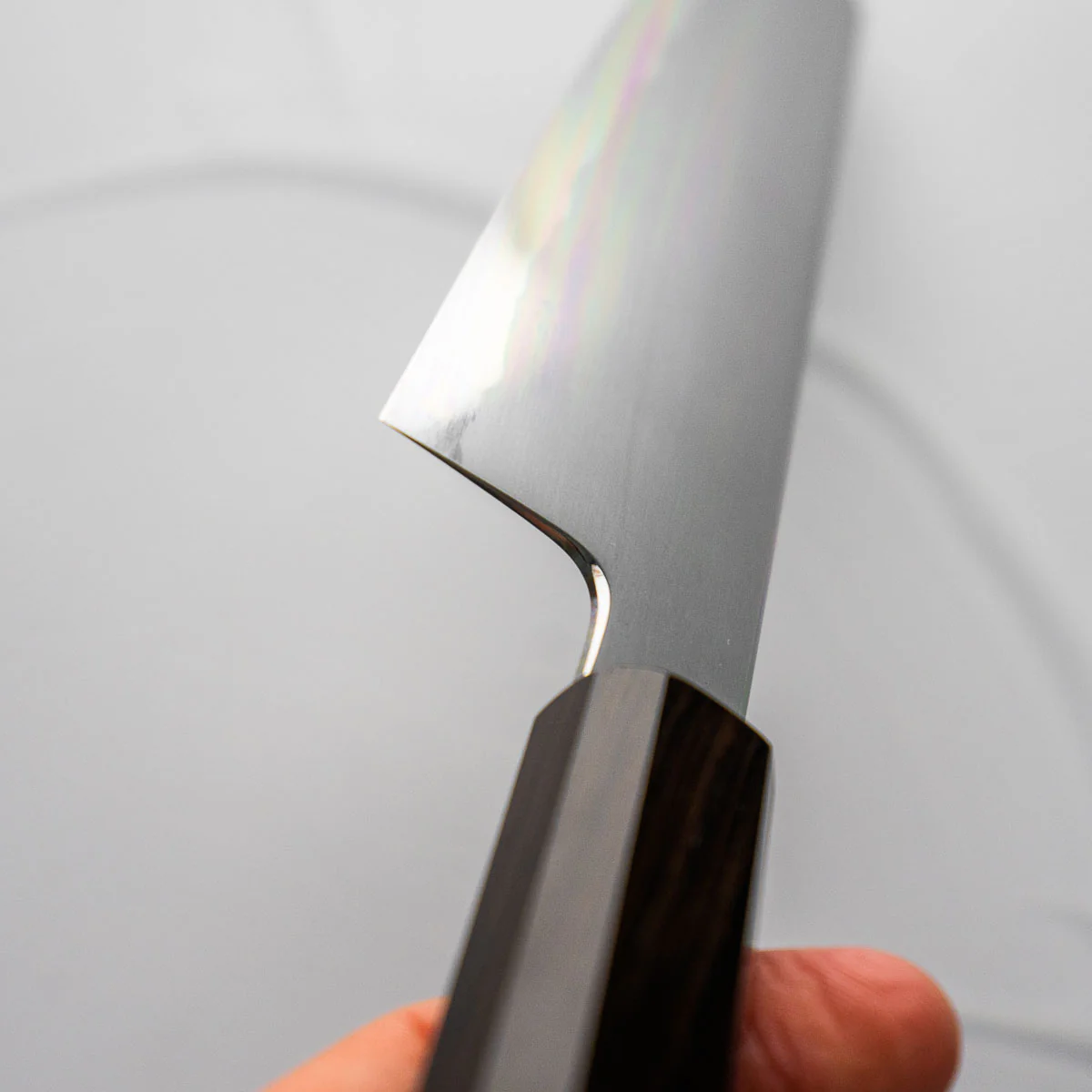 Tetsujin Hamono Blue 2 Kasumi Kiritsuke 210mm - Ebony - Image 7