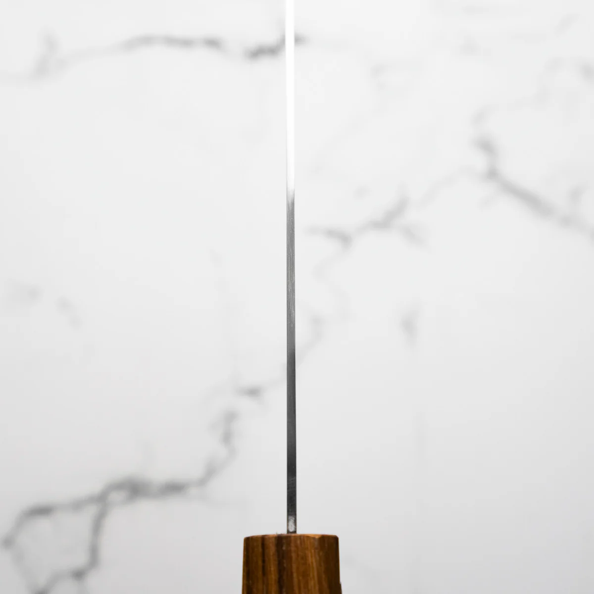 Tojiro Reppu SG2 Kiritsuke 21cm - Image 7
