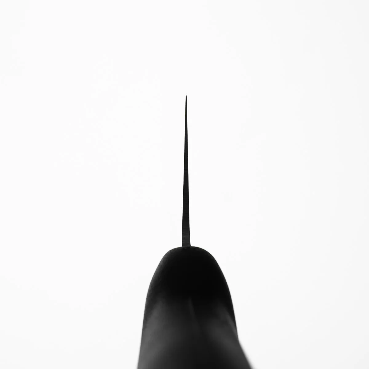 Tojiro Colour MV Gyuto 240mm - Image 6