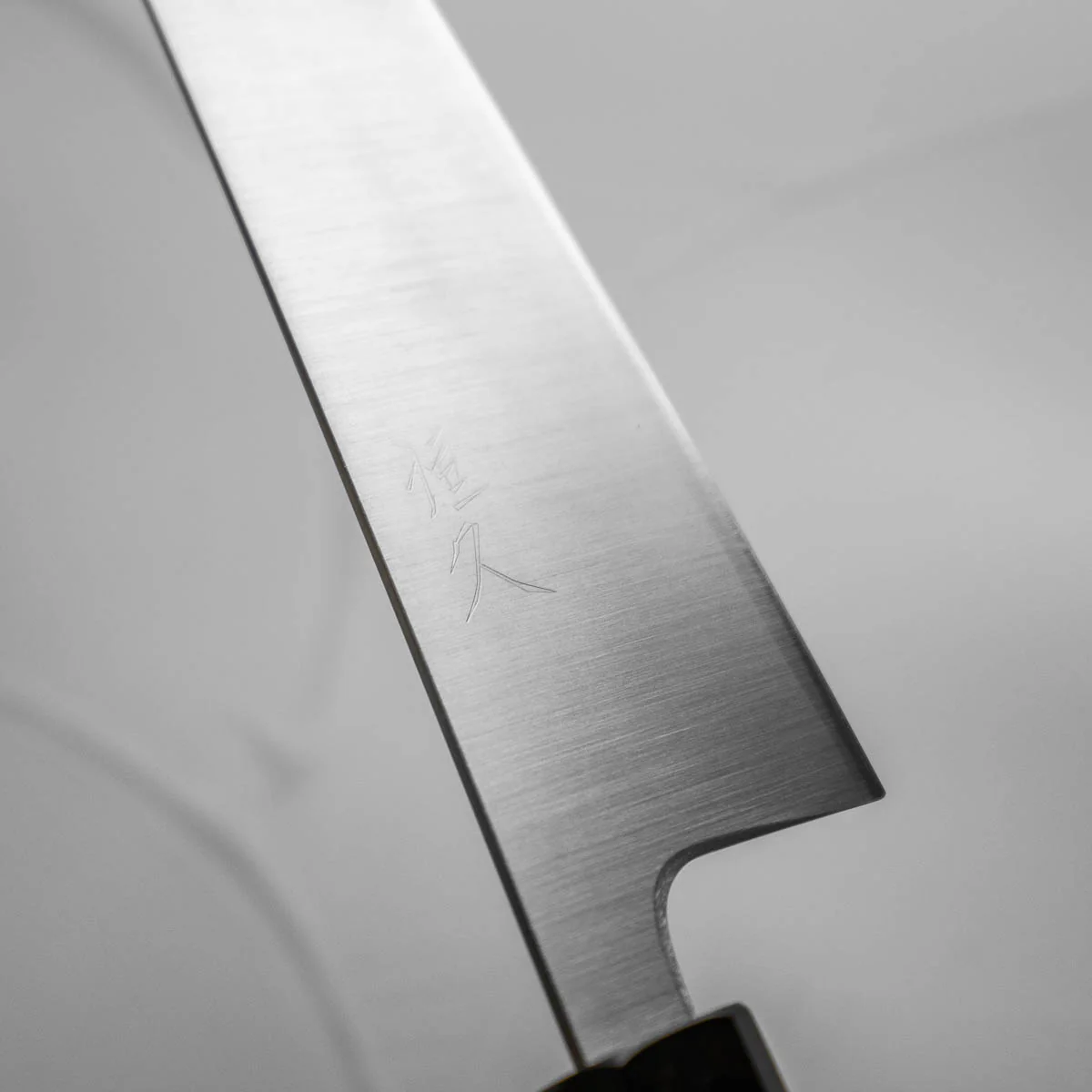 Tsunehisa Ginsan Migaki Gyuto 210mm - Ebony - Image 4