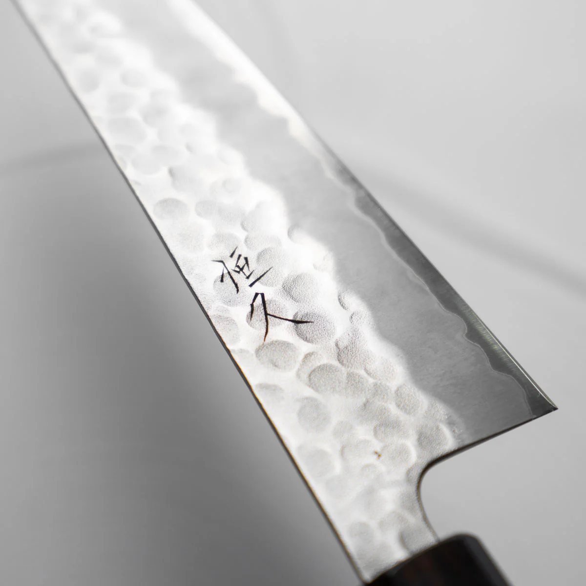 Tsunehisa White 2 SS Clad Tsuchime Gyuto 210mm - Ebony - Image 4