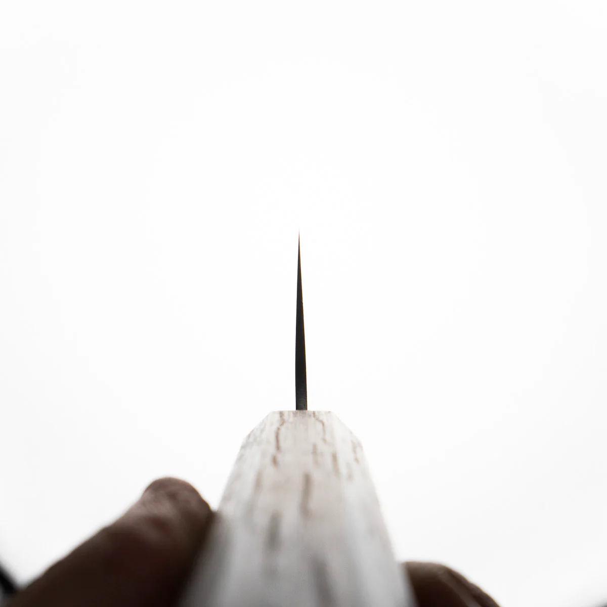 Tsunehisa SLD Washiji Gyuto 210mm - Image 8