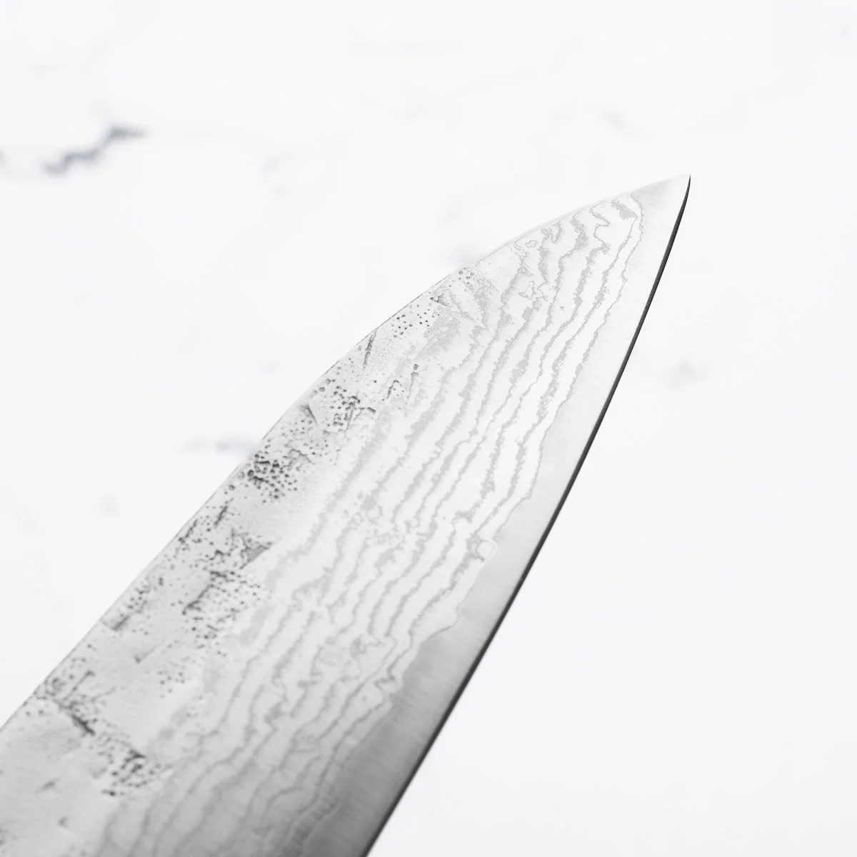 Tsunehisa Swedish Stainless Washiji Gyuto 210mm - Ebony - Image 7