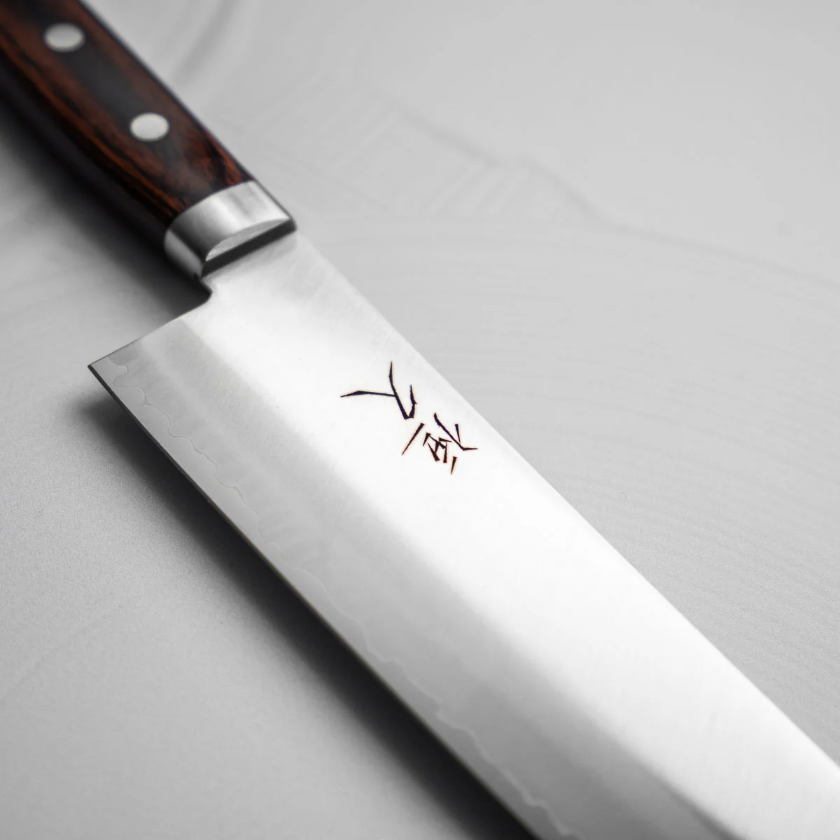Tsunehisa VG1 Gyuto 210mm - Image 4