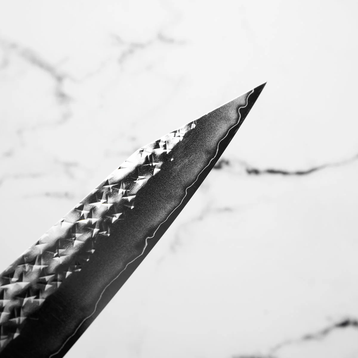 Yu Kurosaki SG2 Senko Sujihiki 240mm - Image 6