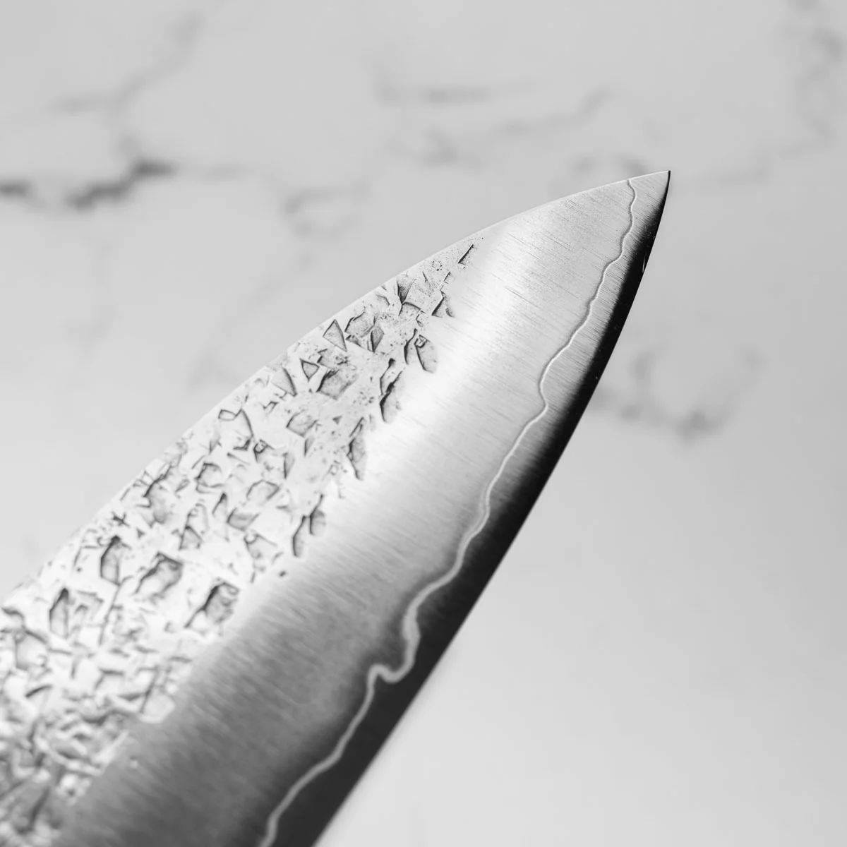 Yu Kurosaki Shizuku SG2 Gyuto 270mm - Padouk - Image 8